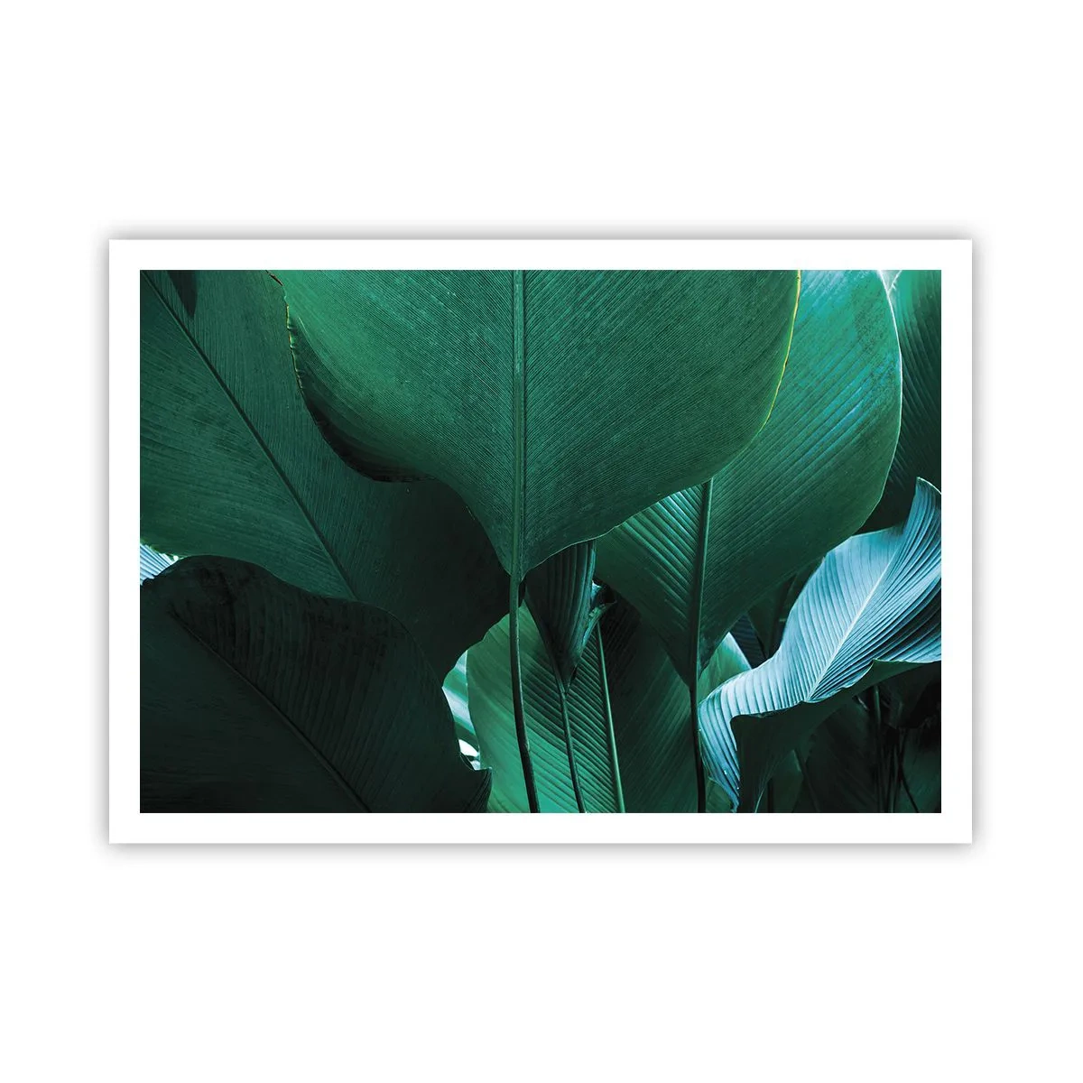 Plakat - Mod lyset - 100x70 cm