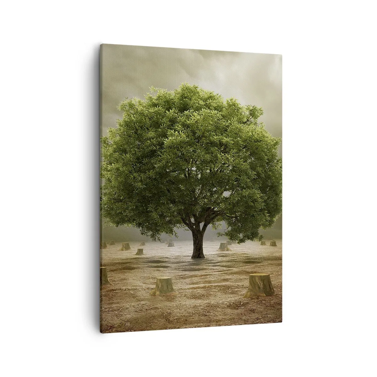 Lærredstryk - Billede på lærred - Alt håb - 50x70 cm