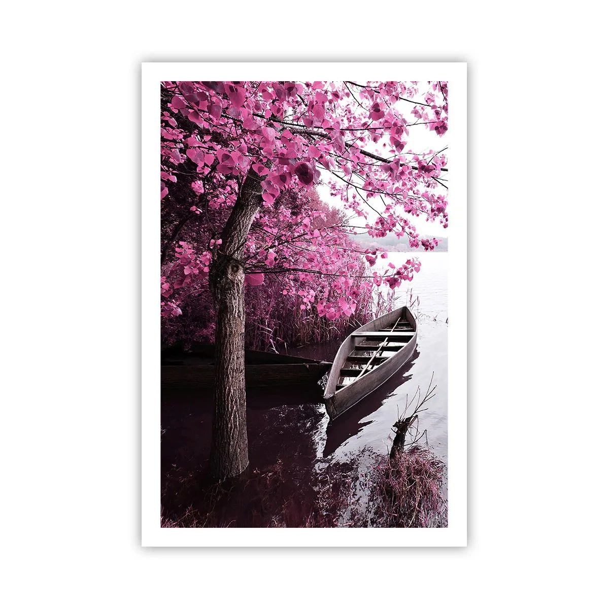 Plakat - I lyserød stilhed - 61x91 cm