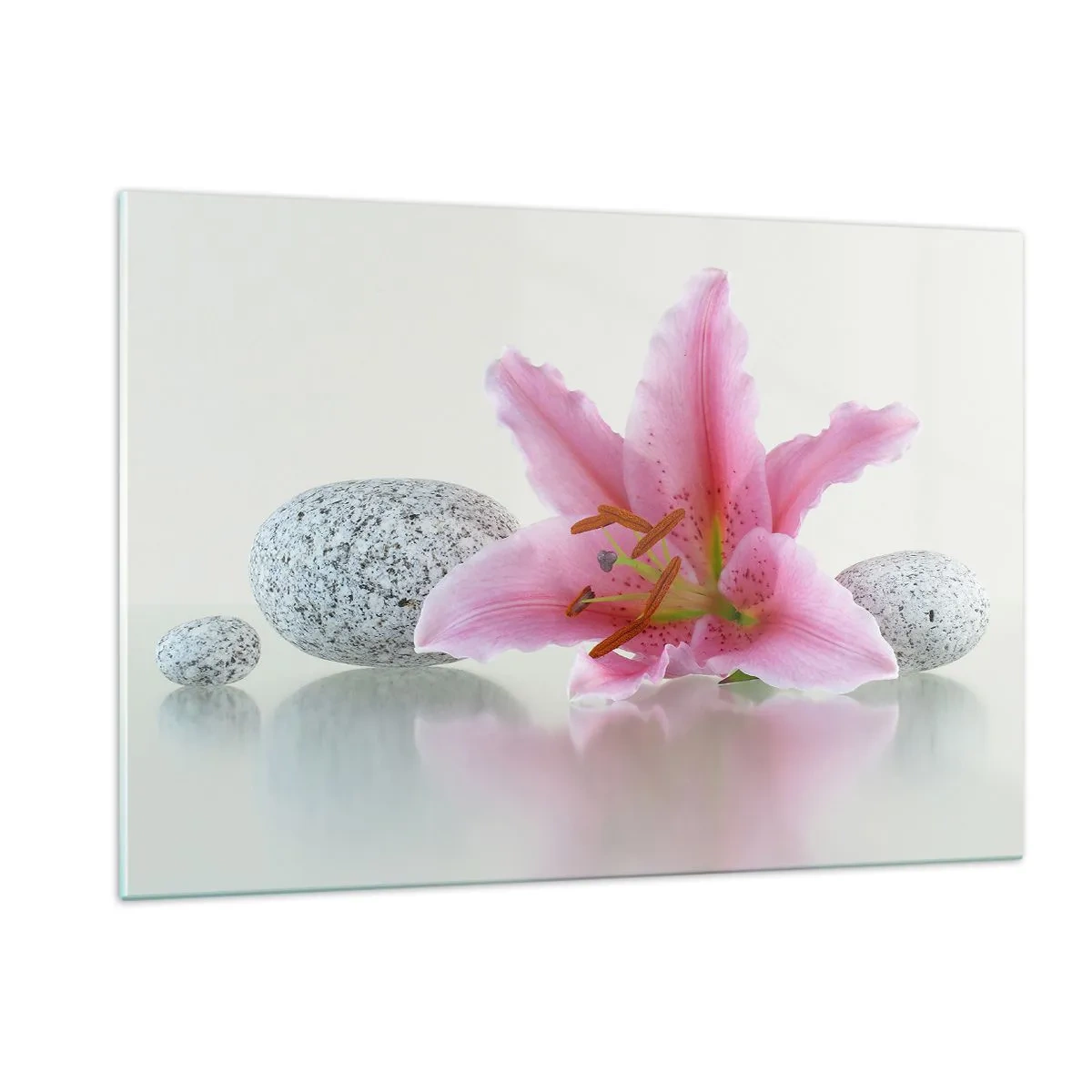 Billede på glas - Et studie i rosa, grå og hvid - 120x80 cm