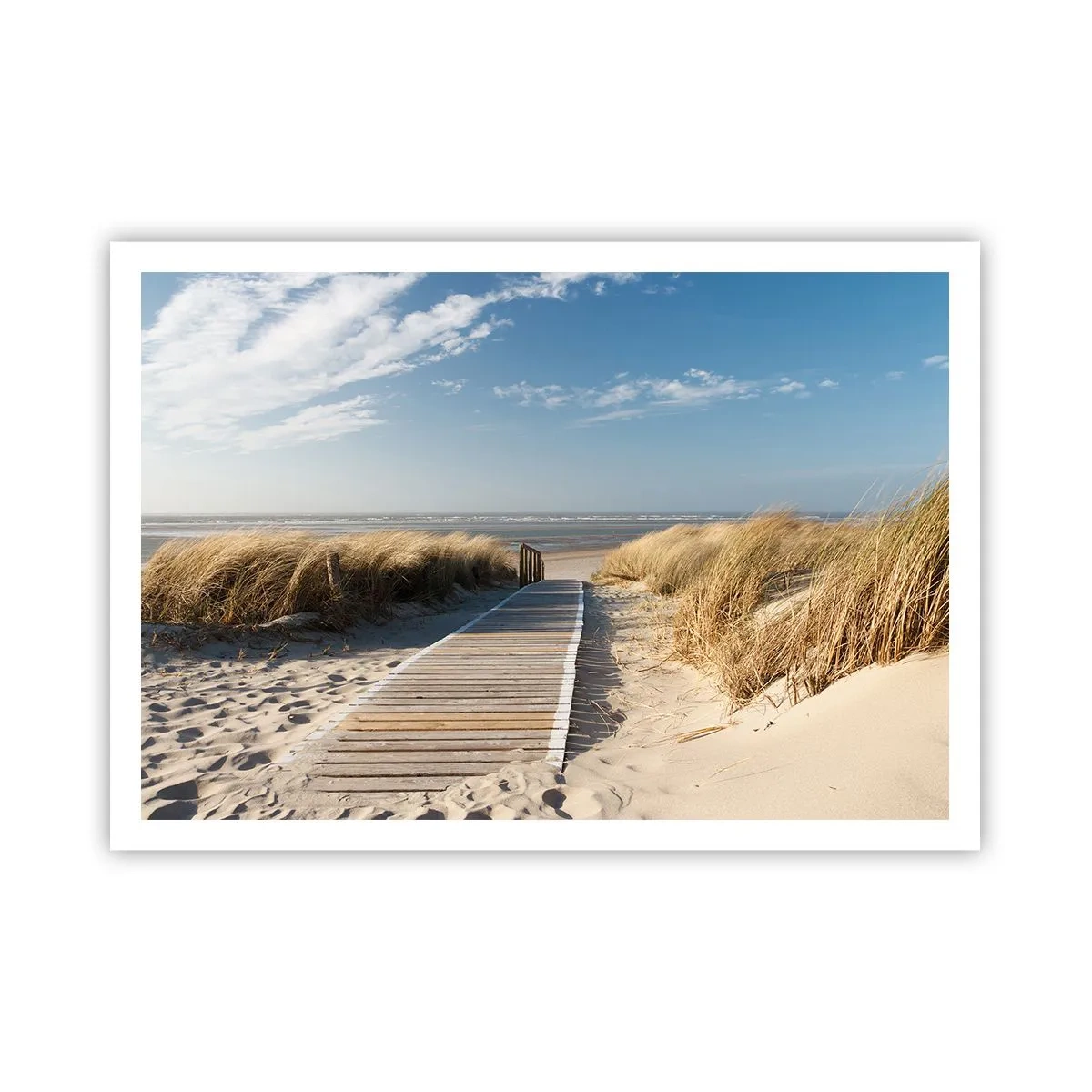 Plakat - Bag klitten, i græssets summen - 100x70 cm