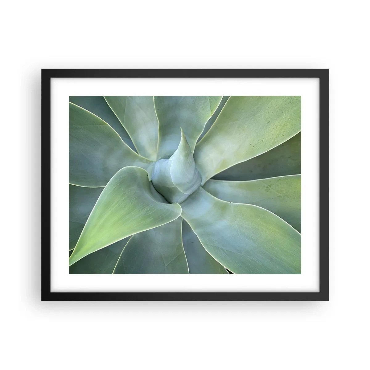 Plakat i sort ramme - Den grønne fødsel - 50x40 cm