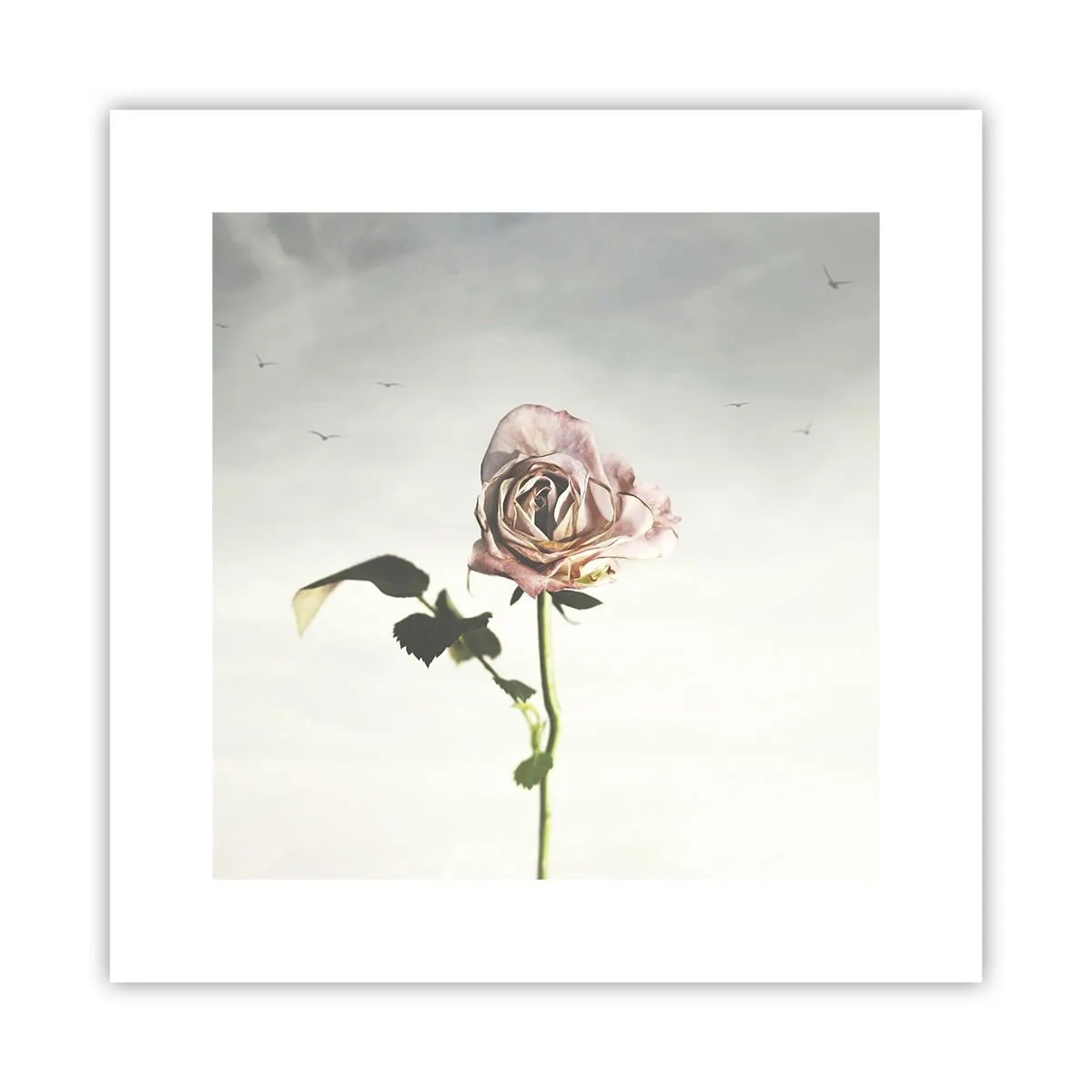 Plakat - Velkomst til foråret - 30x30 cm
