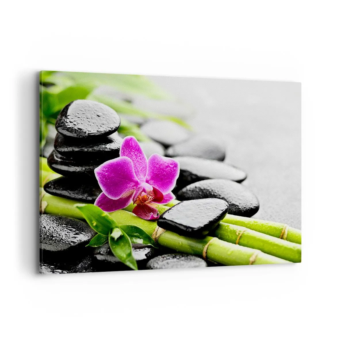 Lærredstryk - Billede på lærred - I en fredelig balance - 100x70 cm