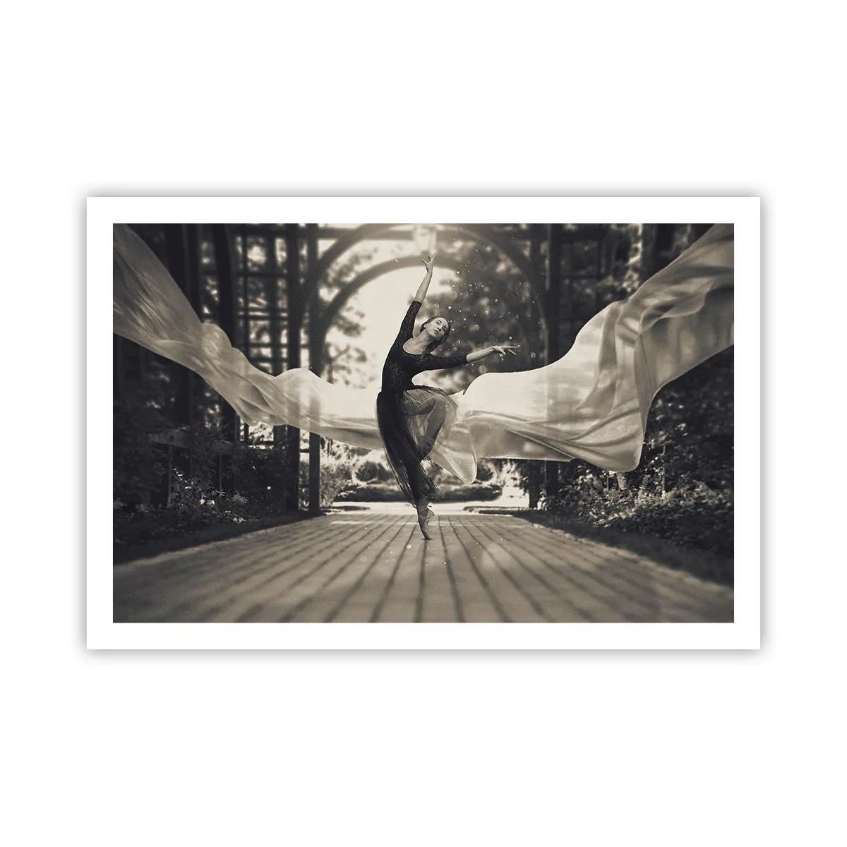 Plakat - Dans i haven - 91x61 cm