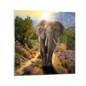 Billede på glas - Sådan så Eden ud - 60x60 cm