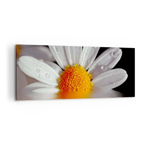 Lærredstryk - Billede på lærred - Den opgående sol på margaret - 100x40 cm