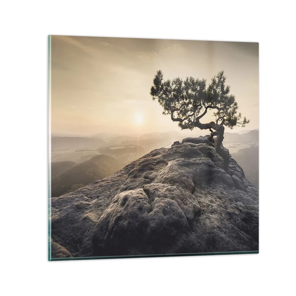 Billede på glas - Livet vinder altid - 50x50 cm