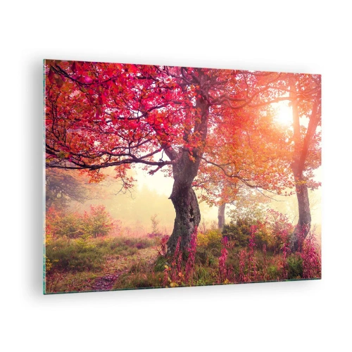 Billede på glas - Efterårsskov med solstråler om morgenen - 70x50cm - Et væld af blomstring - Moderne vægdekoration til stue og soveværelse ARTTOR
