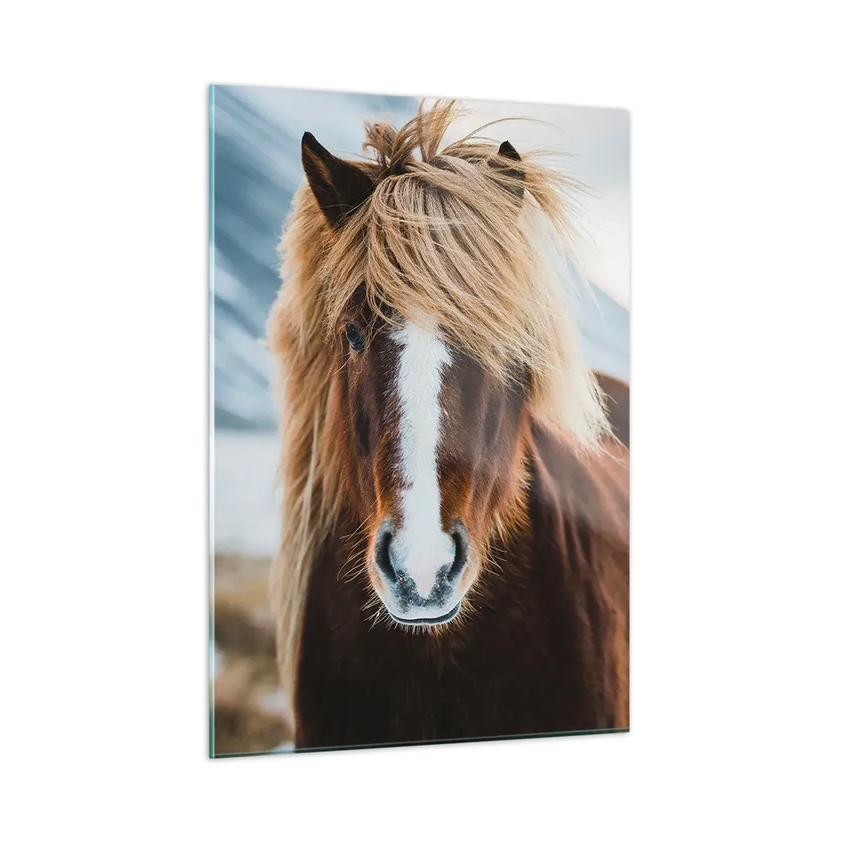 Billede på glas - Kan du mærke friheden? - 50x70 cm