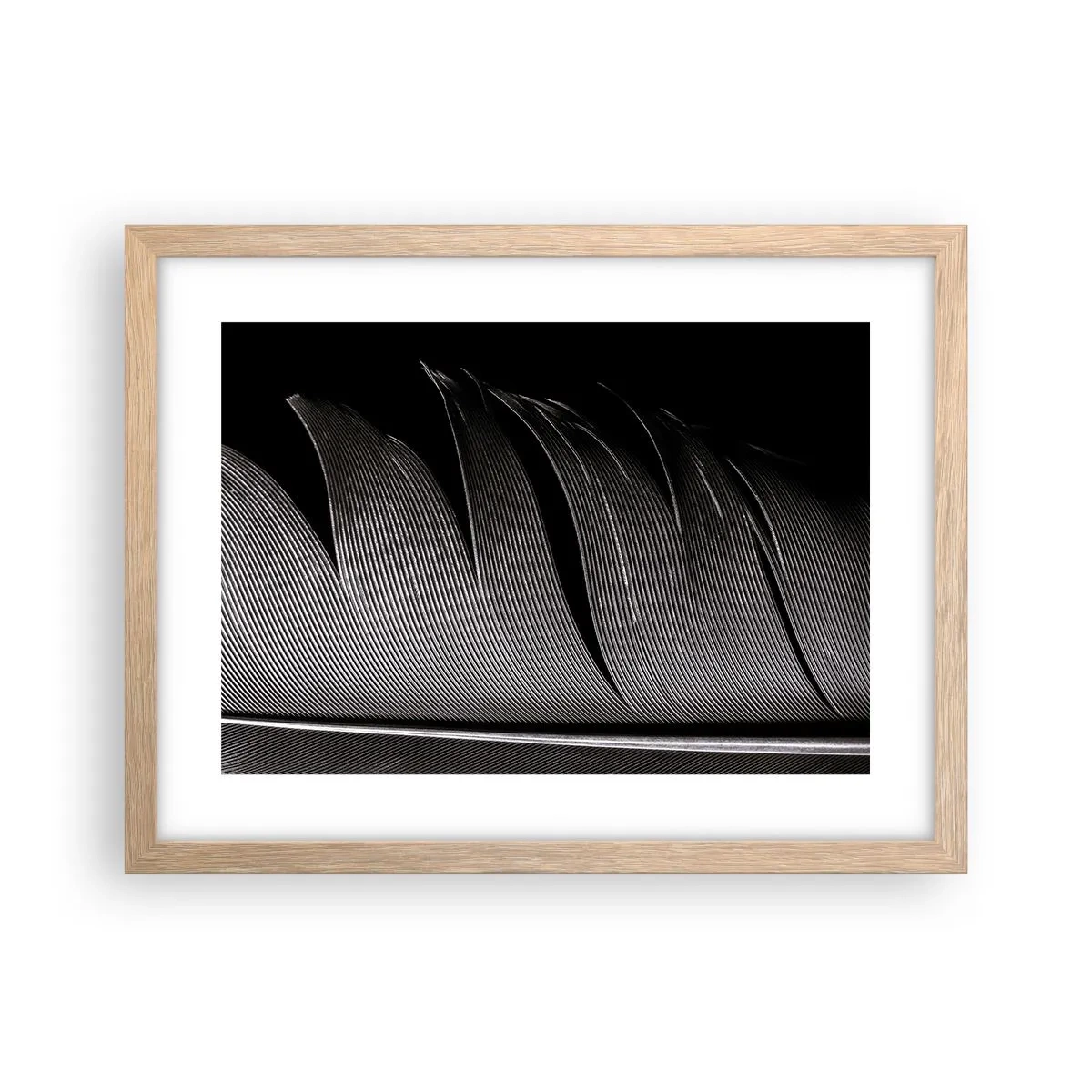 Plakat i ramme af lyst egetræ - Fjer - en vidunderlig konstruktion - 40x30 cm