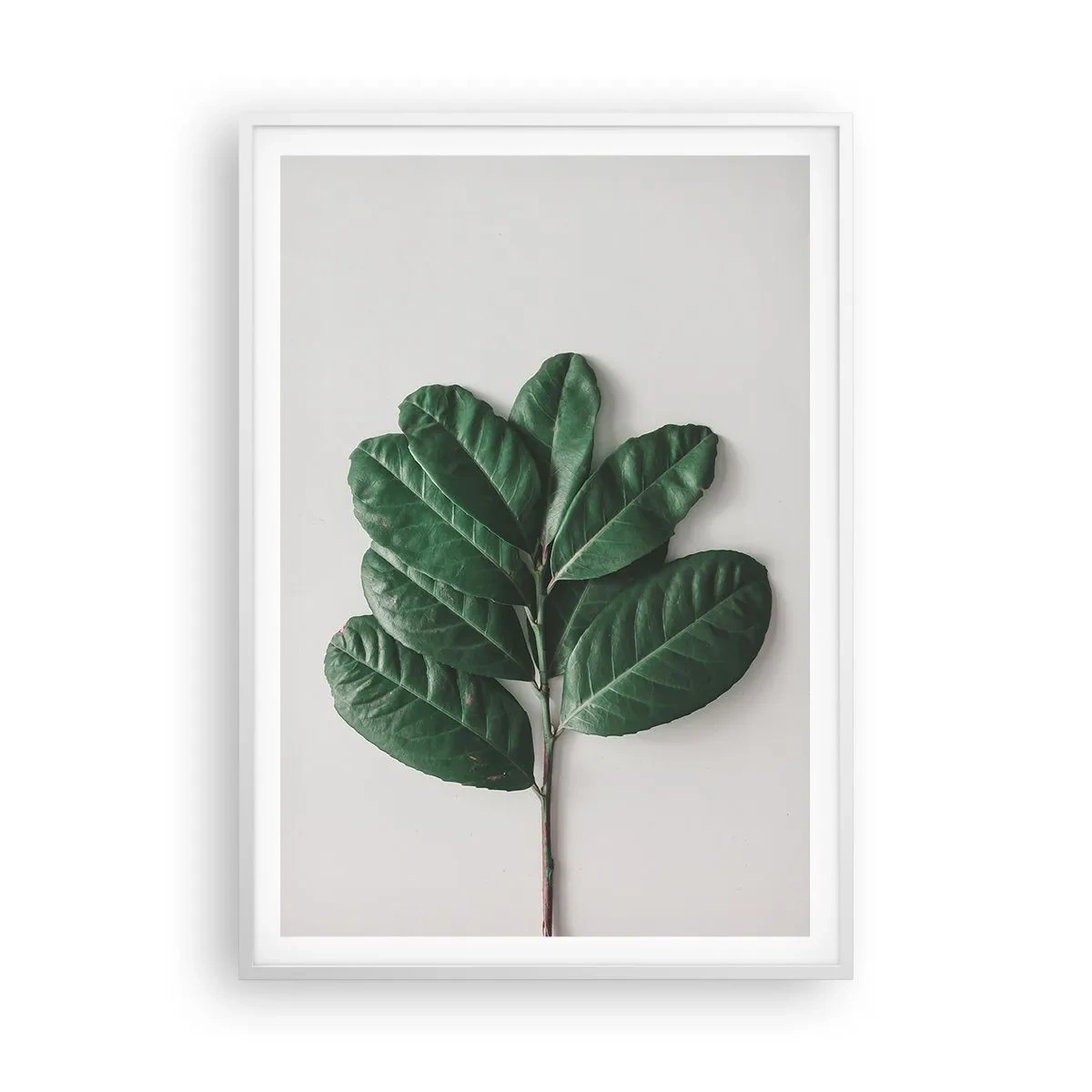 Plakat i hvid ramme - Tegning af selve naturen - 70x100 cm