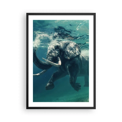 Plakat i sort ramme - En elefant svømmer i turkisblåt vand - 50x70cm - Alle kan lide at svømme - Moderne vægdekoration til stue og soveværelse ARTTOR