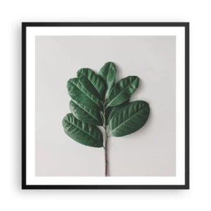 Plakat i sort ramme - Tegning af selve naturen - 60x60 cm