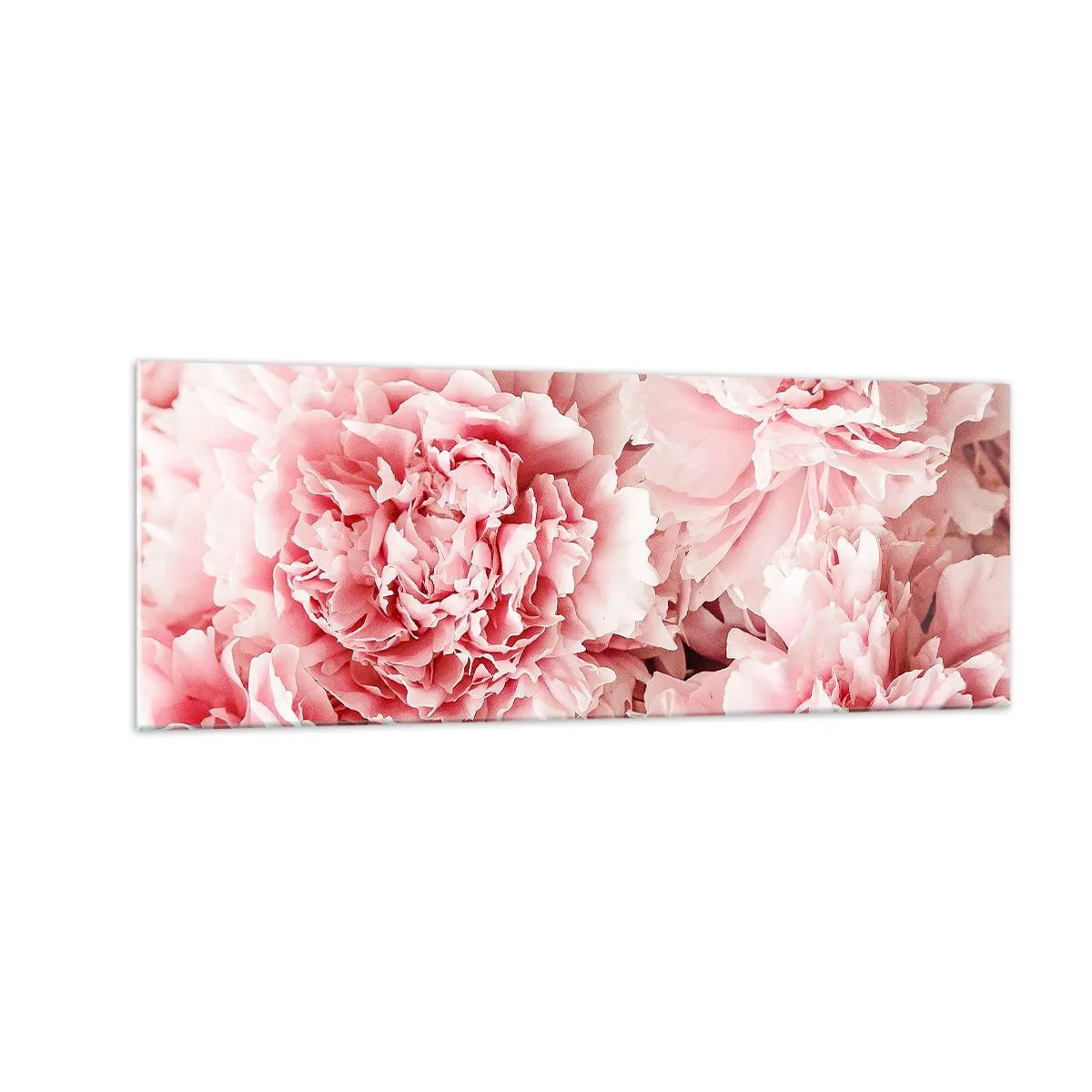 Billede på glas - Lyserød drøm - 140x50 cm