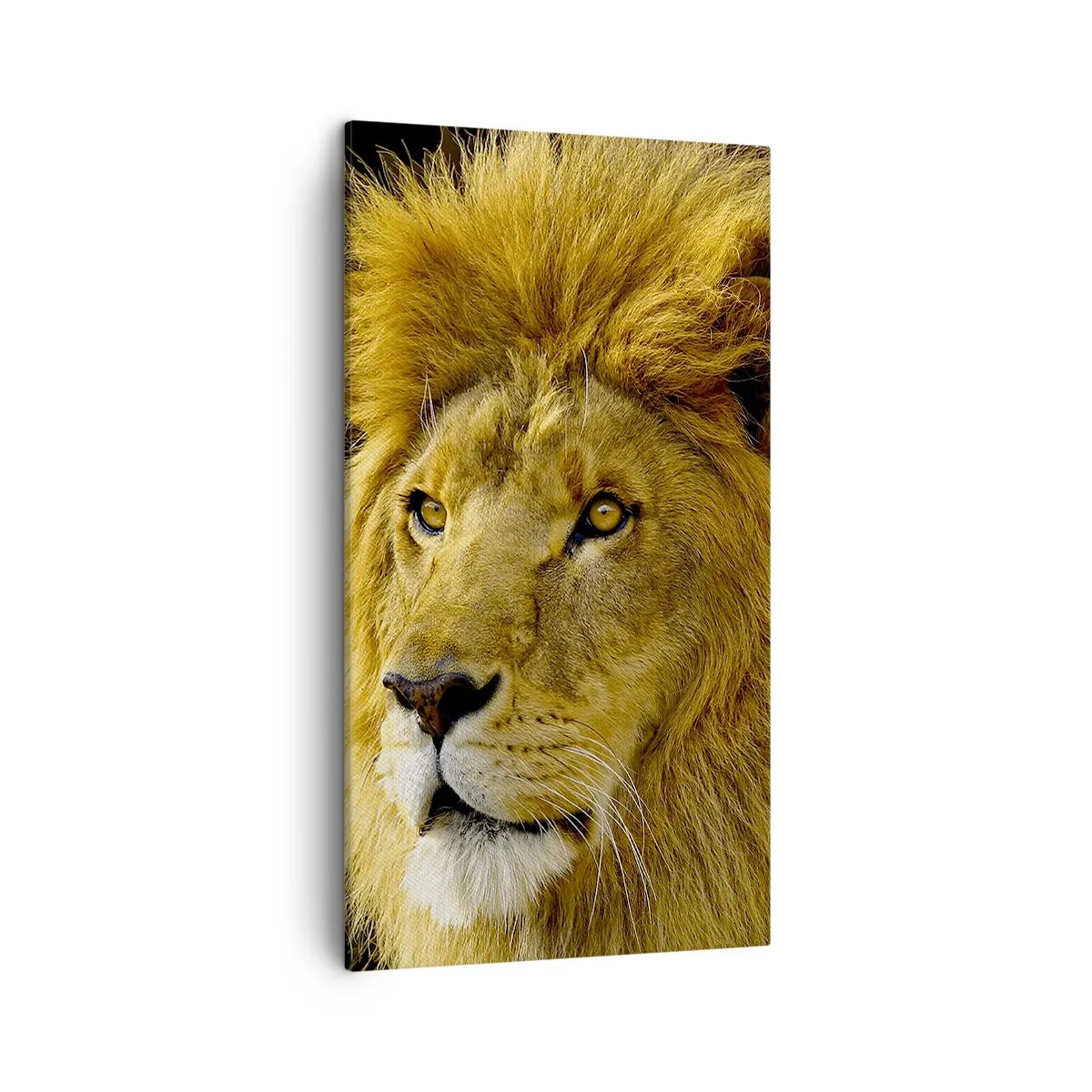 Lærredstryk - Billede på lærred - Portræt af en konge - 45x80 cm
