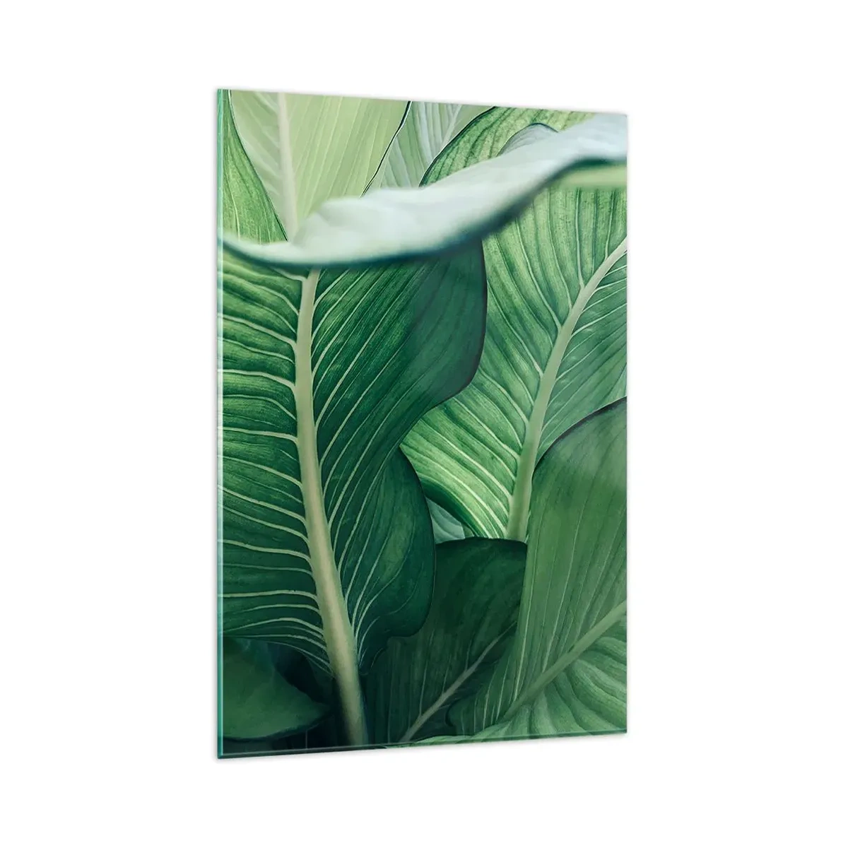 Billede på glas - Livet er intenst grønt - 80x120 cm