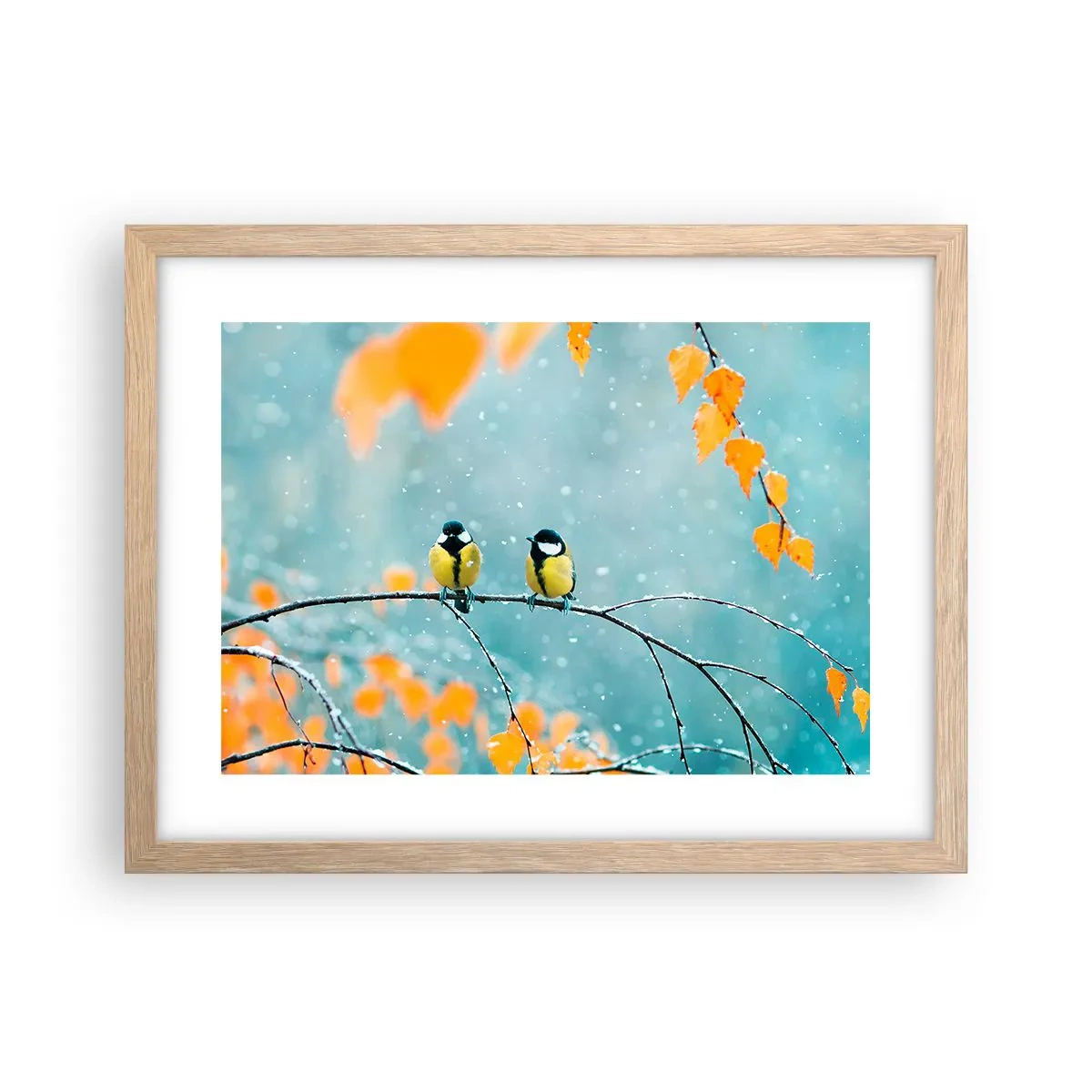 Plakat i ramme af lyst egetræ - Sladder om fugle - 40x30 cm