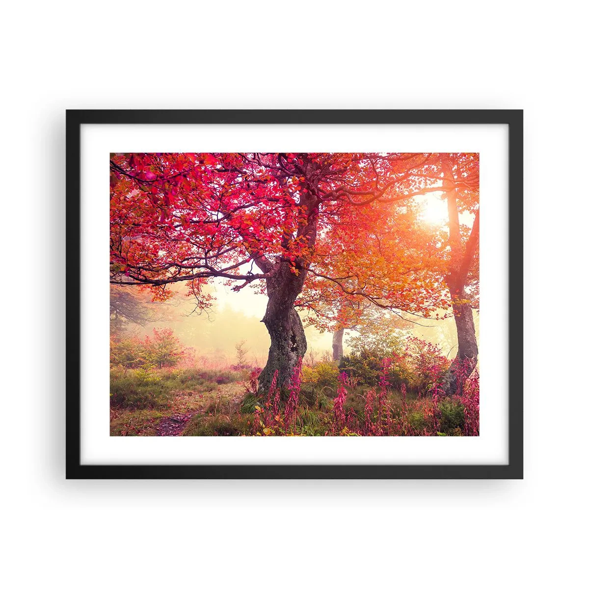 Plakat i sort ramme - Et væld af blomstring - 50x40 cm