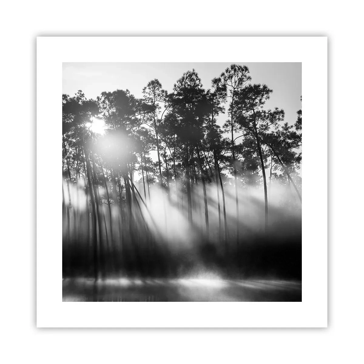 Plakat - Ustoppelig sol - 40x40 cm