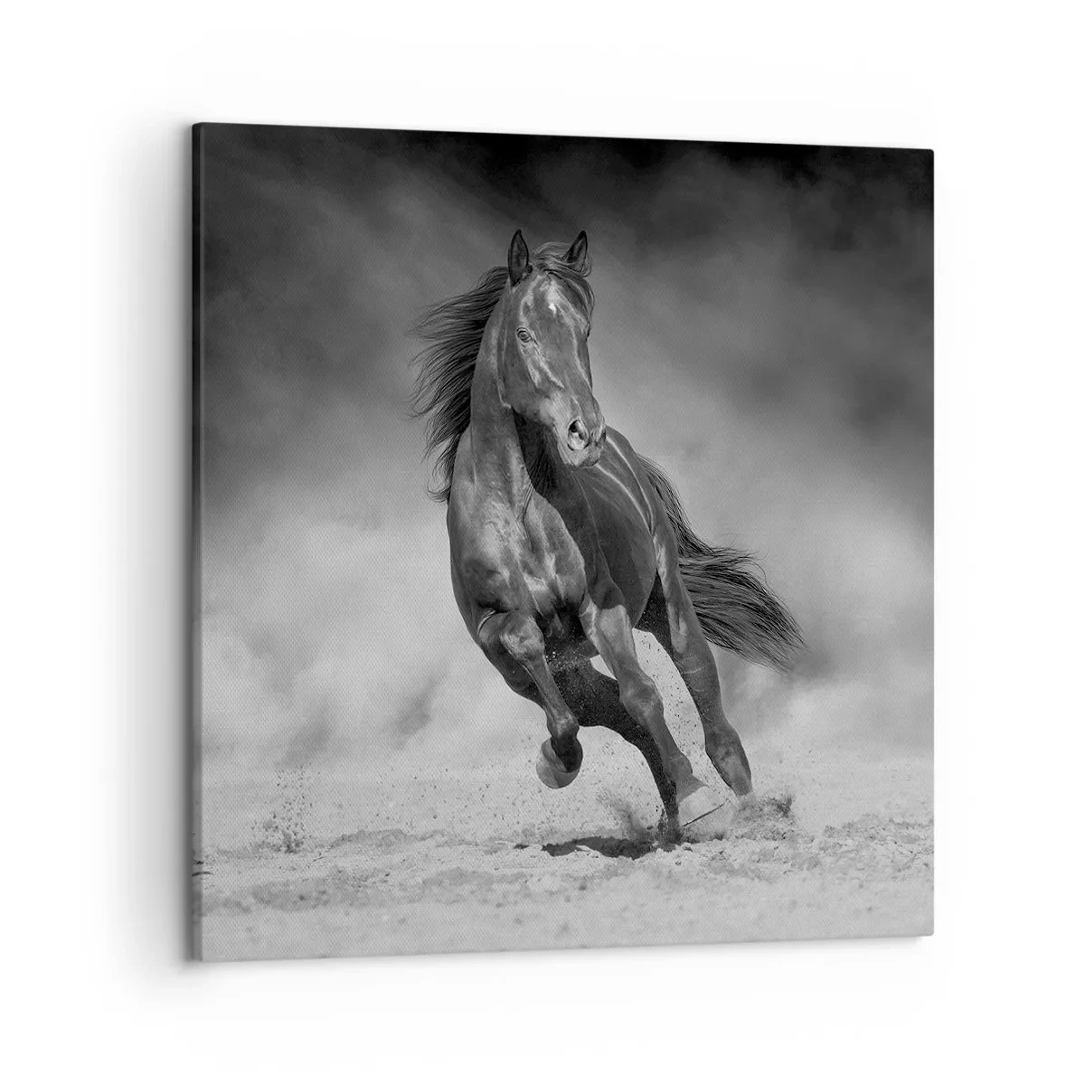 Lærredstryk - Billede på lærred - Værdig til emiren selv - 50x50 cm