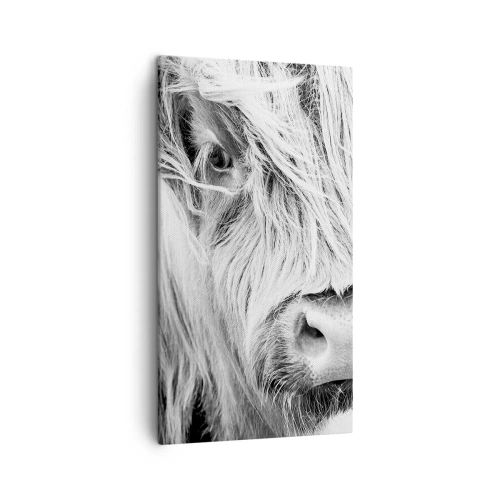 Lærredstryk - Billede på lærred - Skotsk vildmark - 45x80 cm