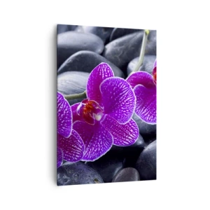 Lærredstryk - Billede på lærred - Stenene lyste op af glæde - 70x100 cm