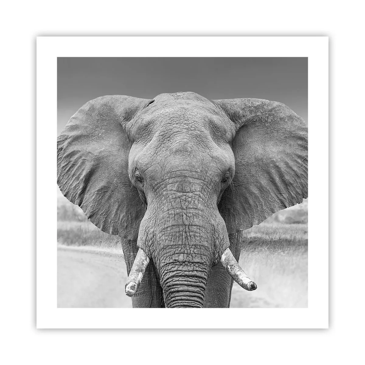 Plakat - Velkommen til min verden - 50x50 cm