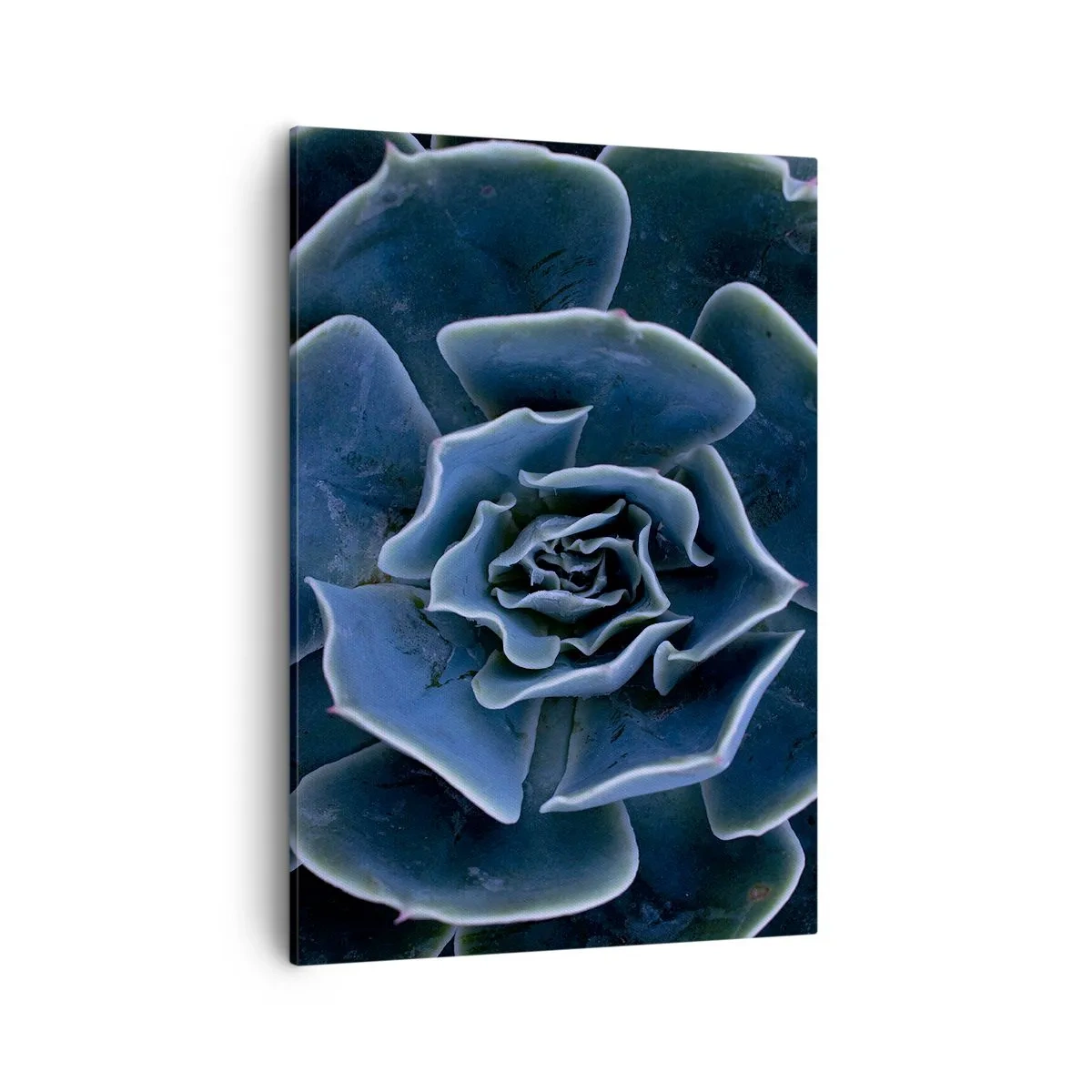 Lærredstryk - Billede på lærred - Ørkenblomst - 50x70 cm