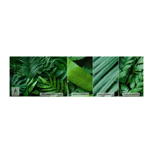 Prøve Fototapet Premium Canvas - Kranset i grønt - Eksotisk plante, Palmeblad, Monstera blad - 100x30 cm