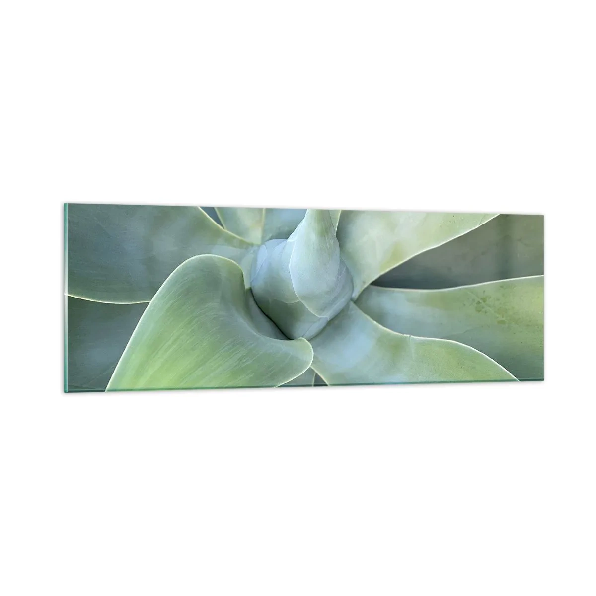 Billede på glas - Den grønne fødsel - 90x30 cm