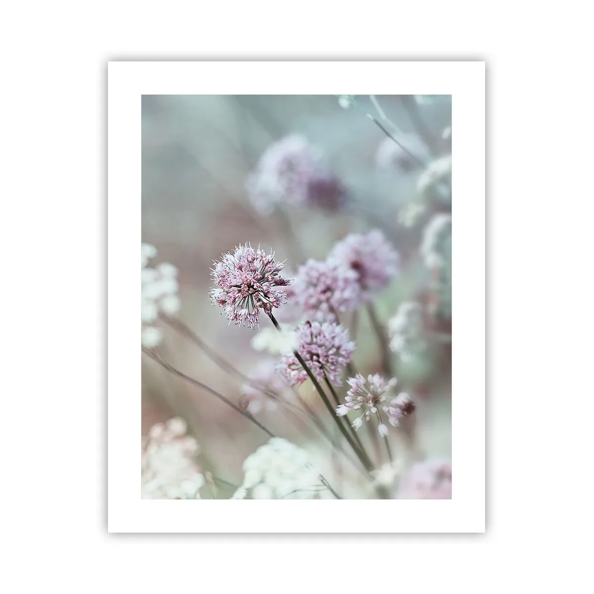 Plakat - Søde filigranurter - 40x50 cm