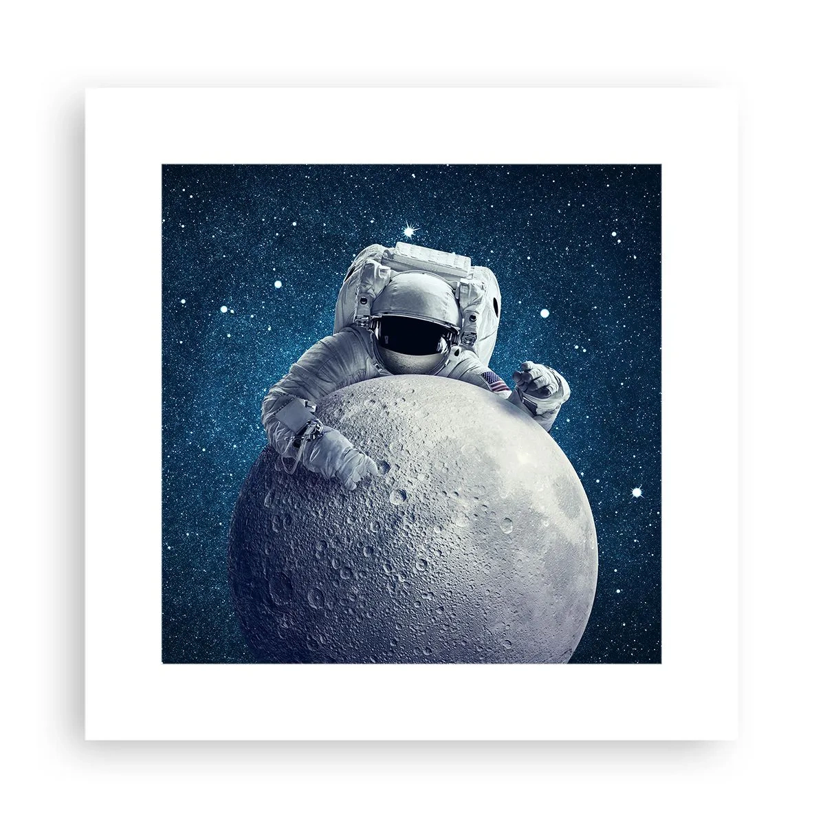 Plakat - Kosmisk spøgefugl - 30x30 cm