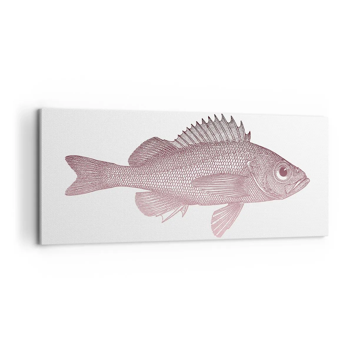 Lærredstryk - Billede på lærred - Fisk med store øjne - 100x40 cm