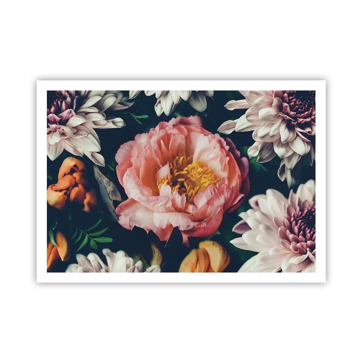 Plakat - Med barok pragt - 100x70 cm