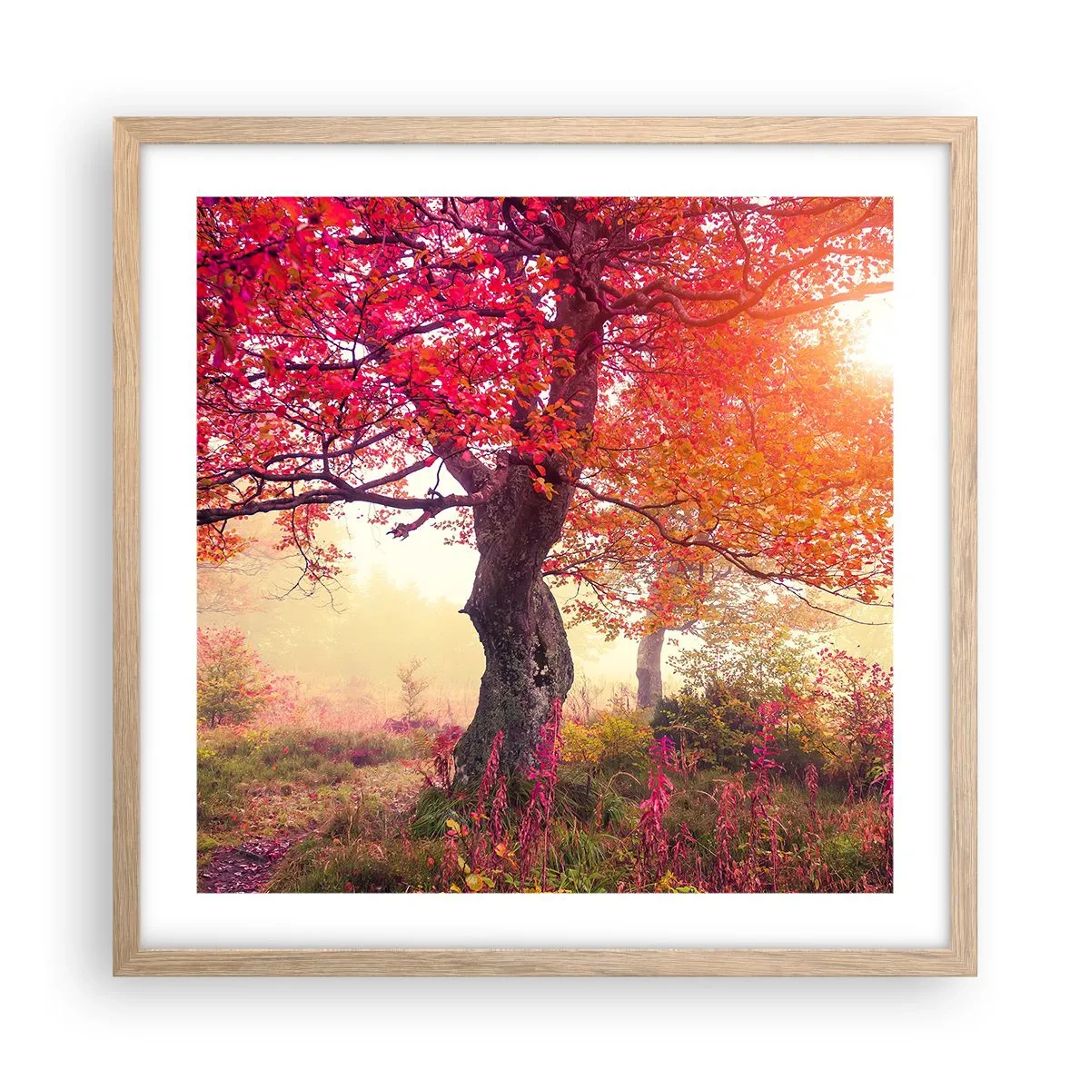 Plakat i ramme af lyst egetræ - Et væld af blomstring - 50x50 cm