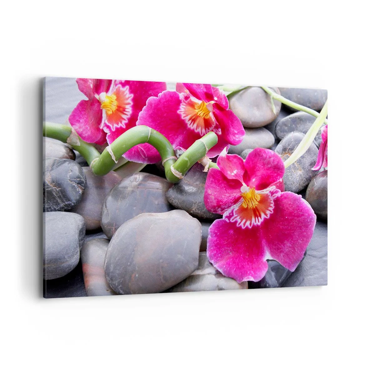 Lærredstryk - Billede på lærred - Kulde og varme - 120x80 cm