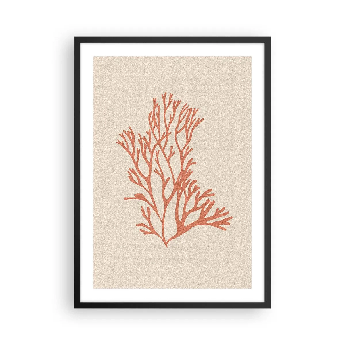 Plakat i sort ramme - En delikat illustration af koral på en lys baggrund - 50x70cm - Koral filigran - Moderne vægdekoration til stue og soveværelse ARTTOR