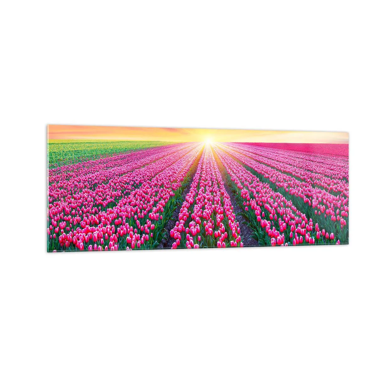 Billede på glas - Skønhedsfarm - 140x50 cm