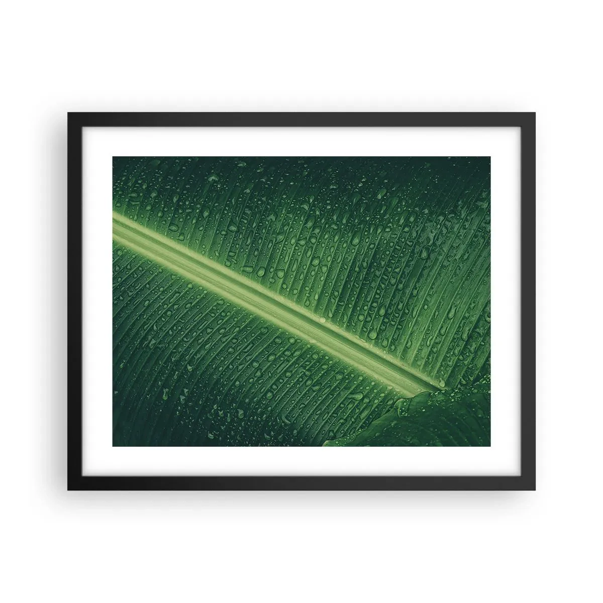 Plakat i sort ramme - Grøn struktur - 50x40 cm