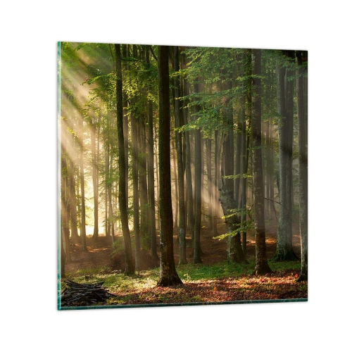 Billede på glas - Strålende på en forårsmorgen - 30x30 cm