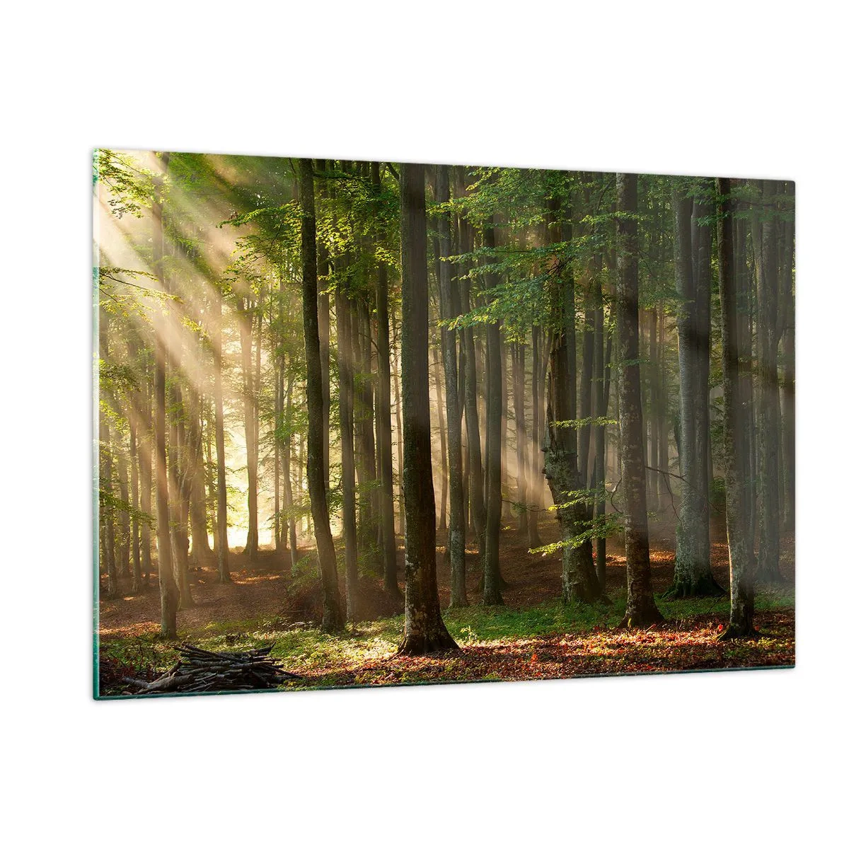 Billede på glas - Strålende på en forårsmorgen - 120x80 cm