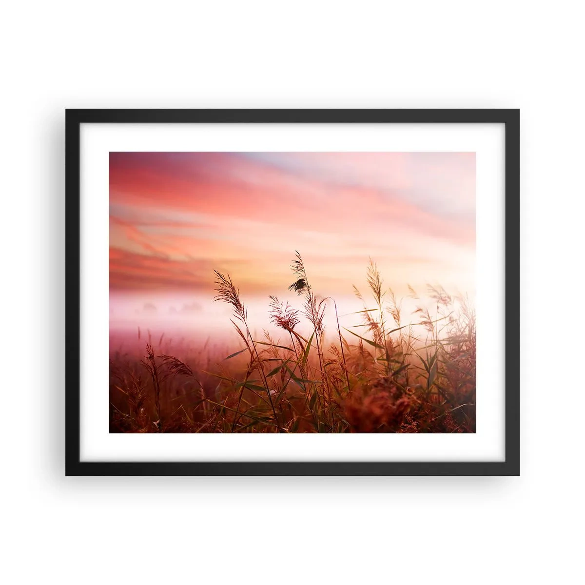 Plakat i sort ramme - Drager, blæsere, vind - 50x40 cm