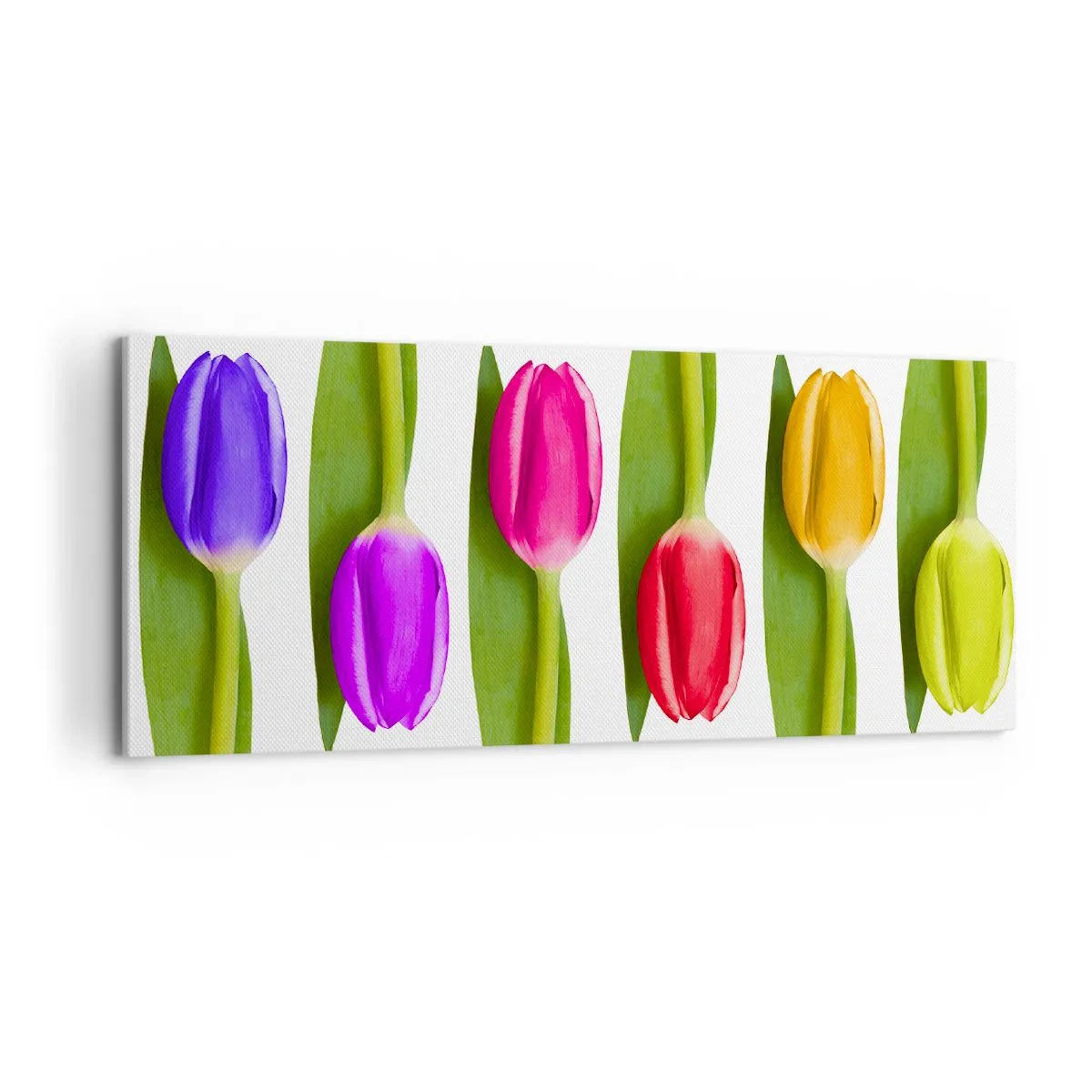Lærredstryk - Billede på lærred - Regnbuesammensætning - 100x40 cm