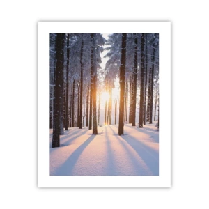 Plakat - Klart i sort og hvidt - 40x50 cm