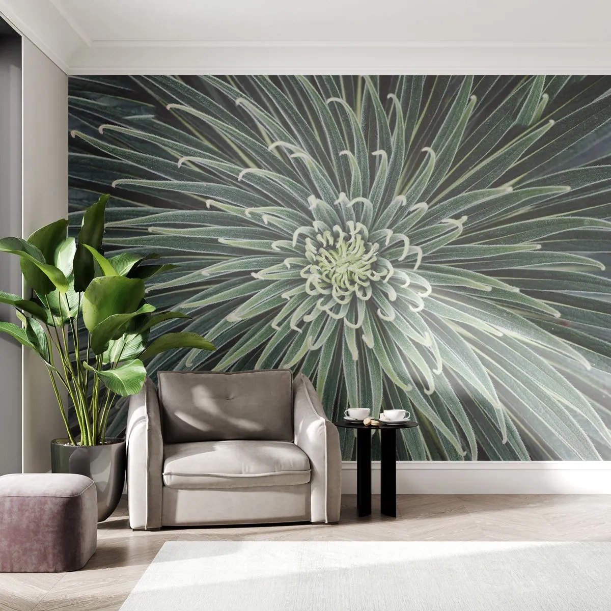 Fototapet Premium Canvas - En stjernes fødsel - Agave blomst, Agave, Blomster - 200x140 cm