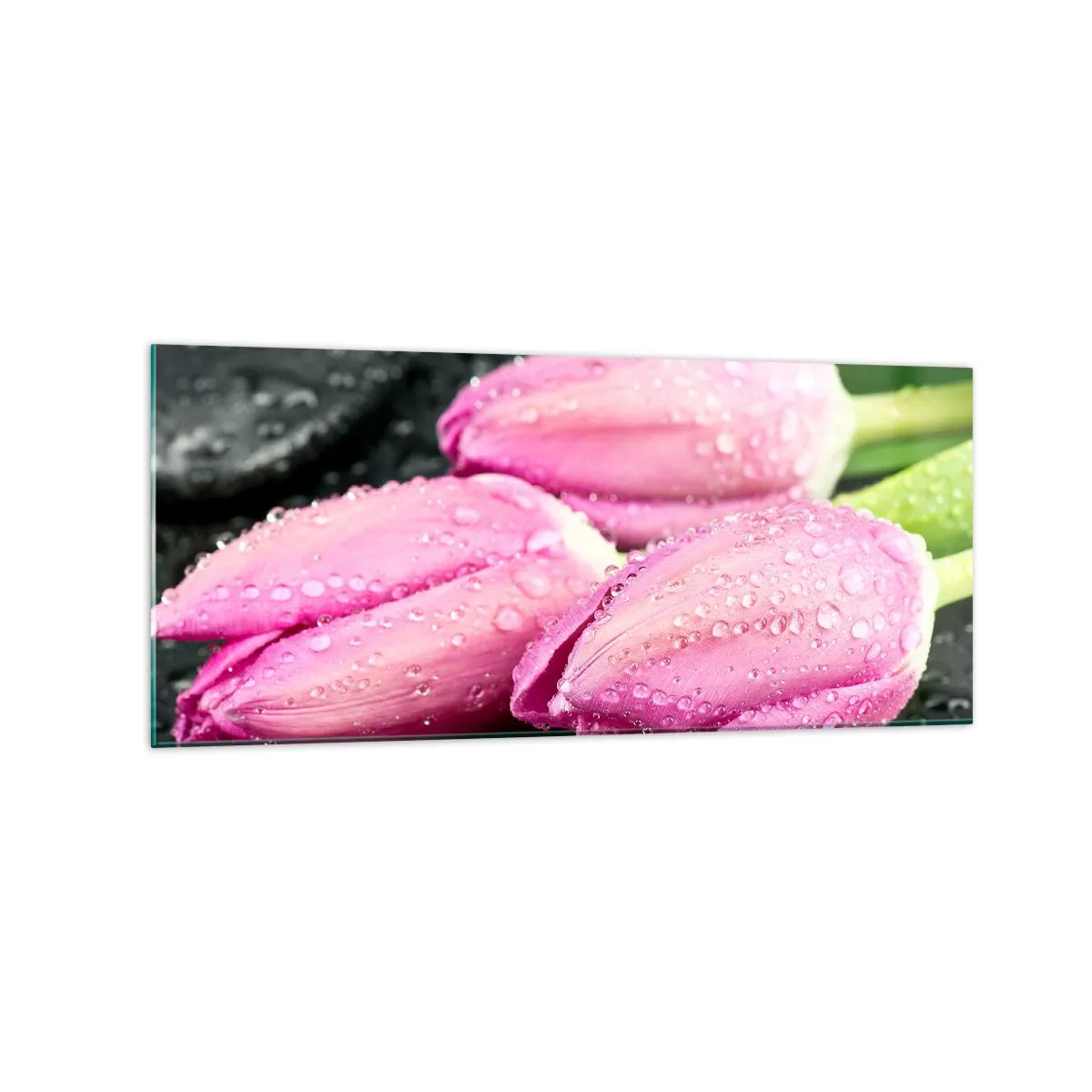 Billede på glas - Lilla tre på sort sten - 120x50 cm