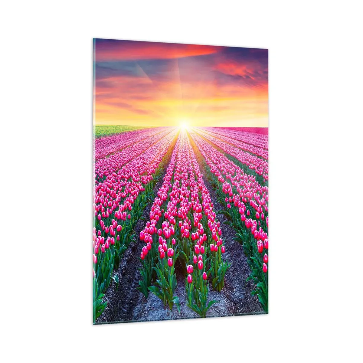 Billede på glas - Skønhedsfarm - 80x120 cm