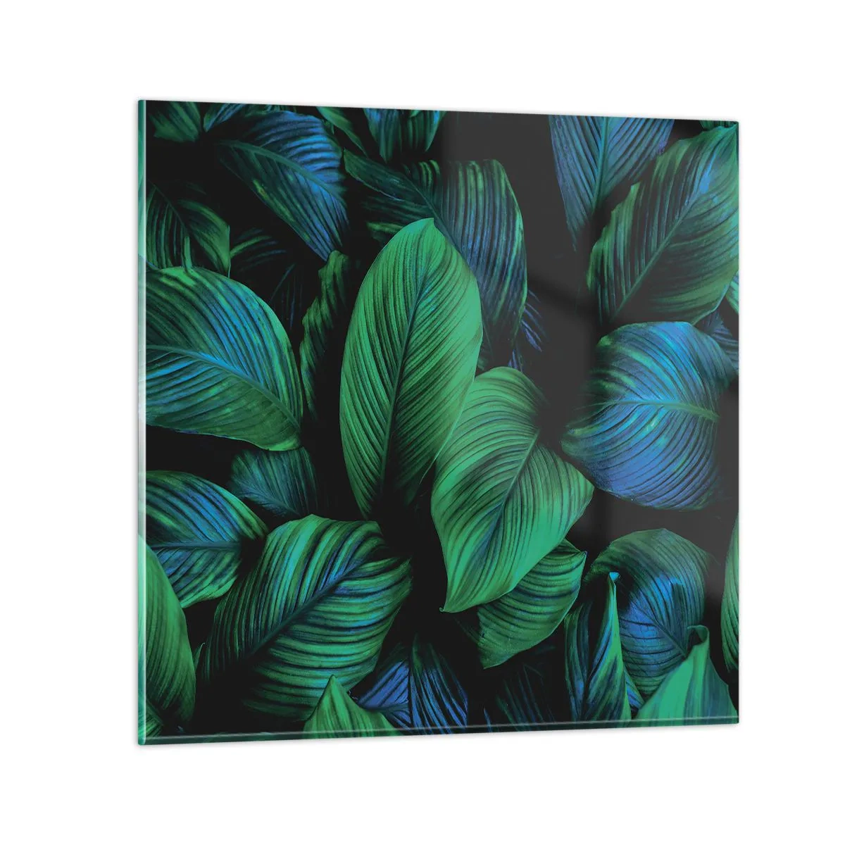 Billede på glas - I den grønne flok - 30x30 cm