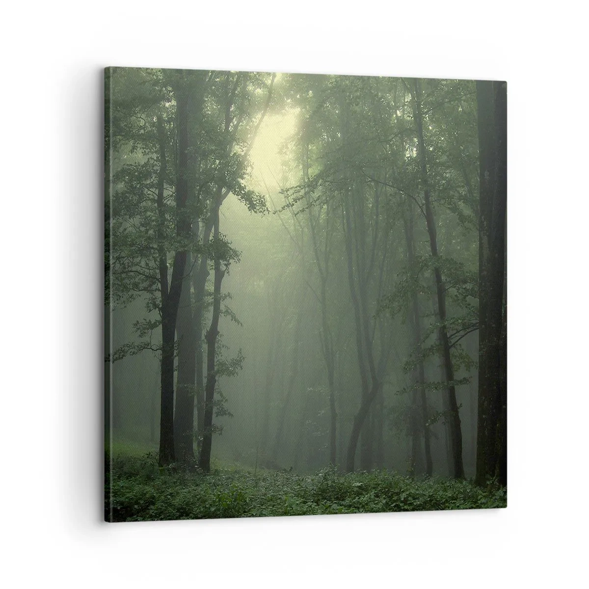 Lærredstryk - Billede på lærred - Før han vågner op - 60x60 cm